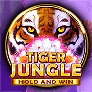 Email hỗ trợ W9BET