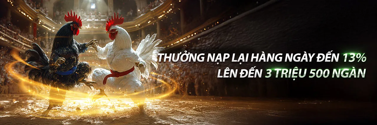 Hình ảnh chính Blog W9bet 2026